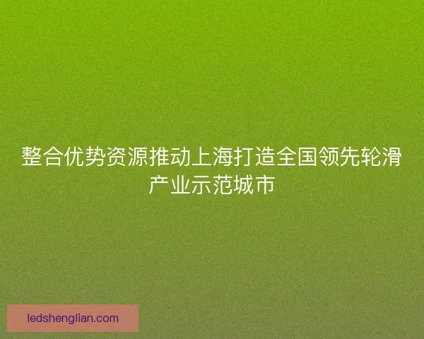 整合优势资源推动上海打造全国领先轮滑产业示范城市