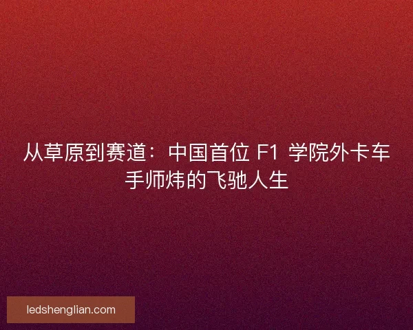 从草原到赛道：中国首位 F1 学院外卡车手师炜的飞驰人生